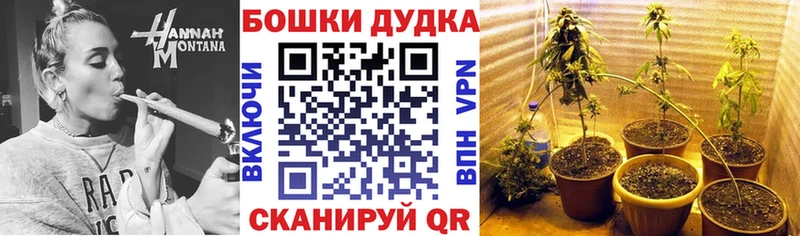 Купить закладки  Сочи  Бошки марихуана THC 21% 
